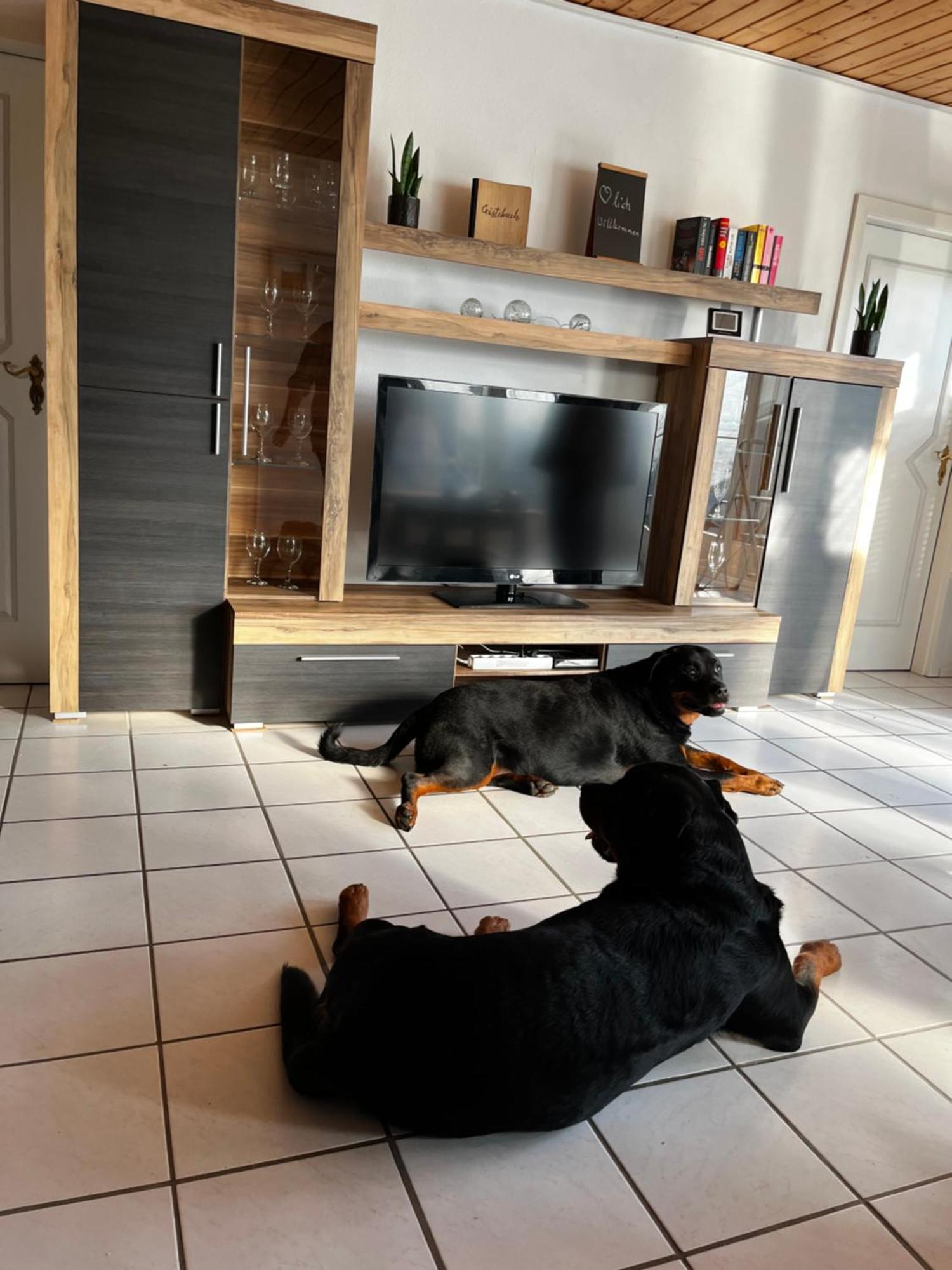 Zur Fellnase Villa Horka Luaran gambar